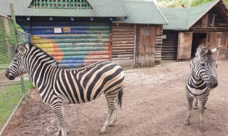 Pionirska dolina i zoo vrt od sutra počinje s radom