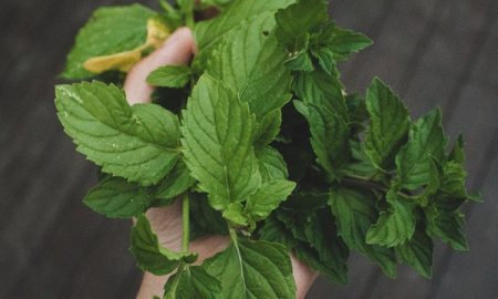 Sweden/USAID Farma 2 projekt udružio snage sa Centrom za socijalni rad u Brezi