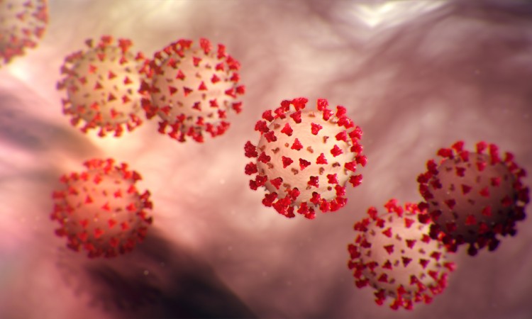 U protekla 24 sata u Federaciji 71 novozaražen koronavirusom