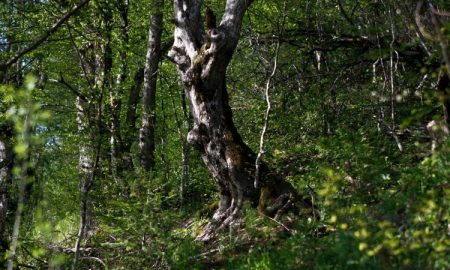 Okoliš u BiH – Definirani principi utvrđivanja nedostataka i prioriteta