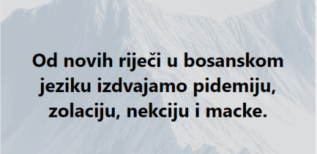 Jakupović (NiP): Nove riječi 2020. godine koje su se pojavile u bosanskom jeziku