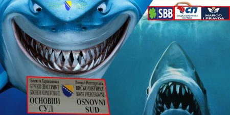 Diskriminacija Opozicije i rad POLICIJE u “RALJAMA” vladajuće većine Brčko distrikta BiH!