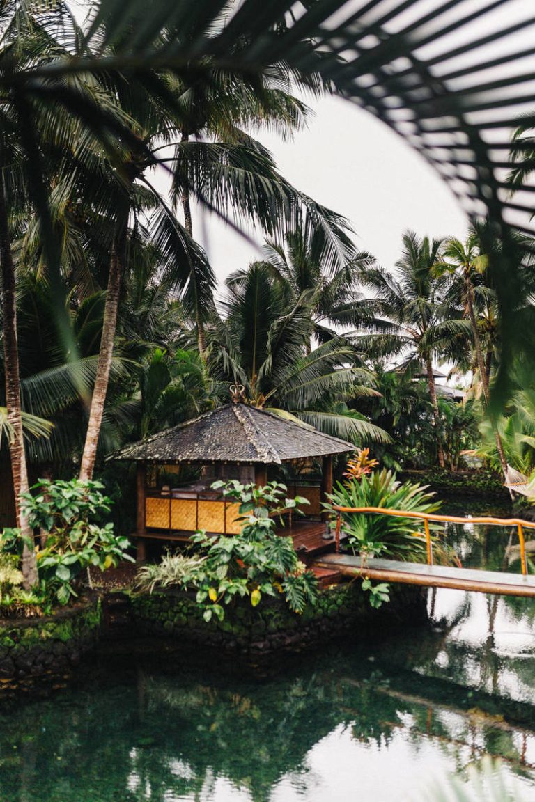 Making Coffee, Tea and Other Hot Drinks Healthy as Well as Tasty Making Coffee, Tea and Other Hot Drinks Healthy as Well as Tasty