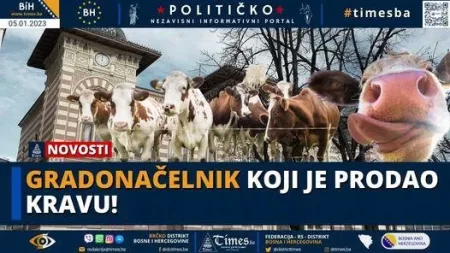 Gradonačelnik koji je prodao kravu!