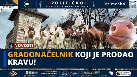Gradonačelnik koji je prodao kravu! Gradonačelnik koji je prodao kravu!