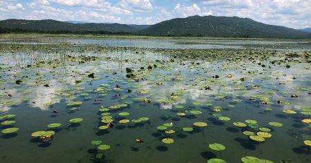 Umjetna inteligencija kontrolirat će kvalitetu vode na Hutovu blatu