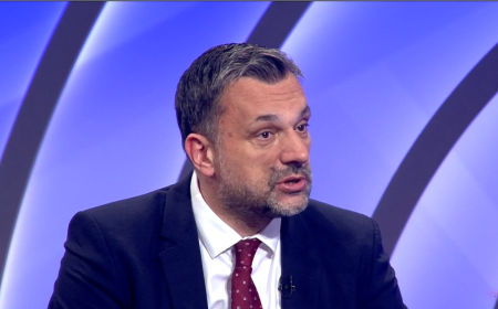 Na šta možemo računati od 6 milijardi eura? Konaković: Sad na ništa!