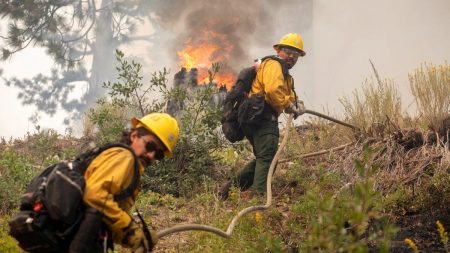 Evakuacije zbog požara na jugu Kalifornije | SAD Vijesti