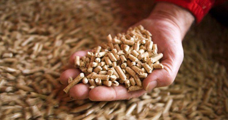 Prosječna cijena tone peleta u BiH 350 KM, najniža u posljednje tri godine Prosječna cijena tone peleta u BiH 350 KM, najniža u posljednje tri godine