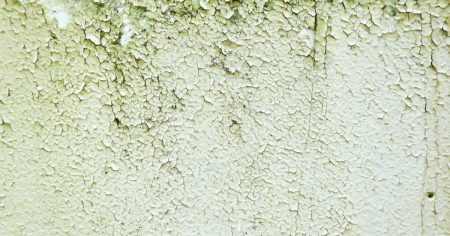 Trik u kojeg se Nijemci kunu, a s pomoću kojeg ćete sačuvati dom od vlage i plijesni