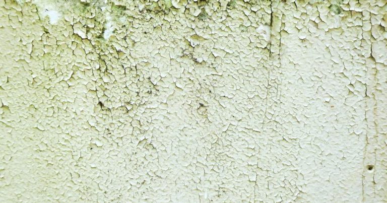 Trik u kojeg se Nijemci kunu, a s pomoću kojeg ćete sačuvati dom od vlage i plijesni Trik u kojeg se Nijemci kunu, a s pomoću kojeg ćete sačuvati dom od vlage i plijesni