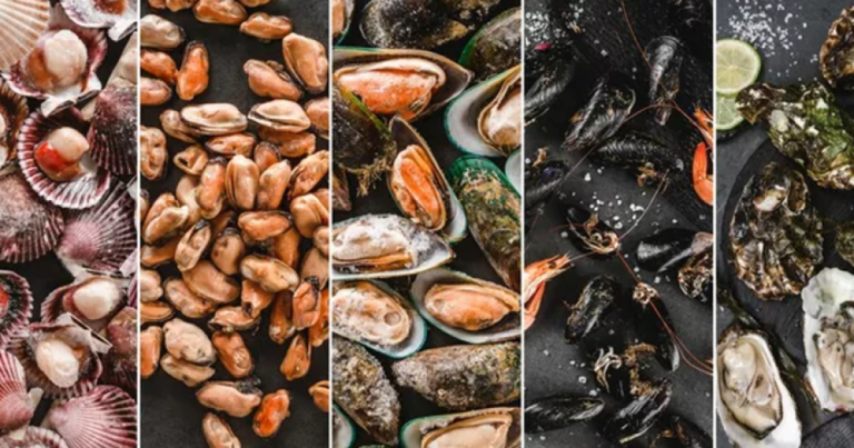 Agencija za sigurnost hrane BiH: Bakterija Vibrio spp. u morskim plodovima Agencija za sigurnost hrane BiH: Bakterija Vibrio spp. u morskim plodovima