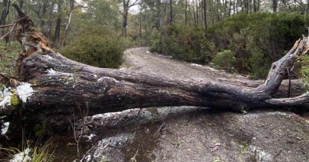 Veliko nevrijeme pogodilo Australiju – www.vecernji.ba