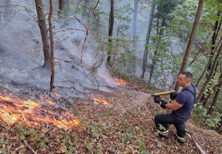 Vlada na vanrednoj sjednici o požaru u Maoči: Tri područna vatrogasna doma što prije staviti u funkciju