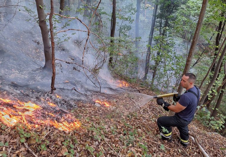 Vlada na vanrednoj sjednici o požaru u Maoči: Tri područna vatrogasna doma što prije staviti u funkciju