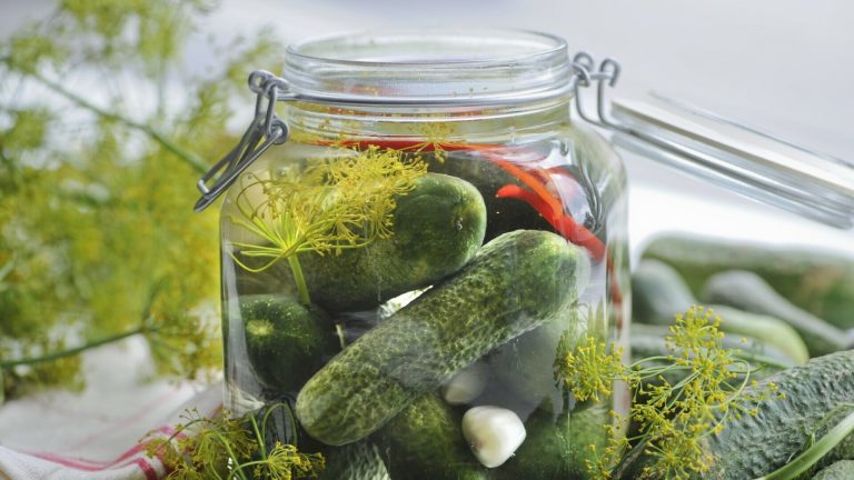 Jednostavan recept za kiseljenje krastavaca Jednostavan recept za kiseljenje krastavaca