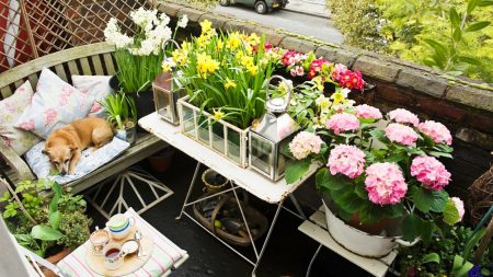 Uz ovo omiljeno piće mnogih cvijeće buja i listovi se dižu iz mrtvih