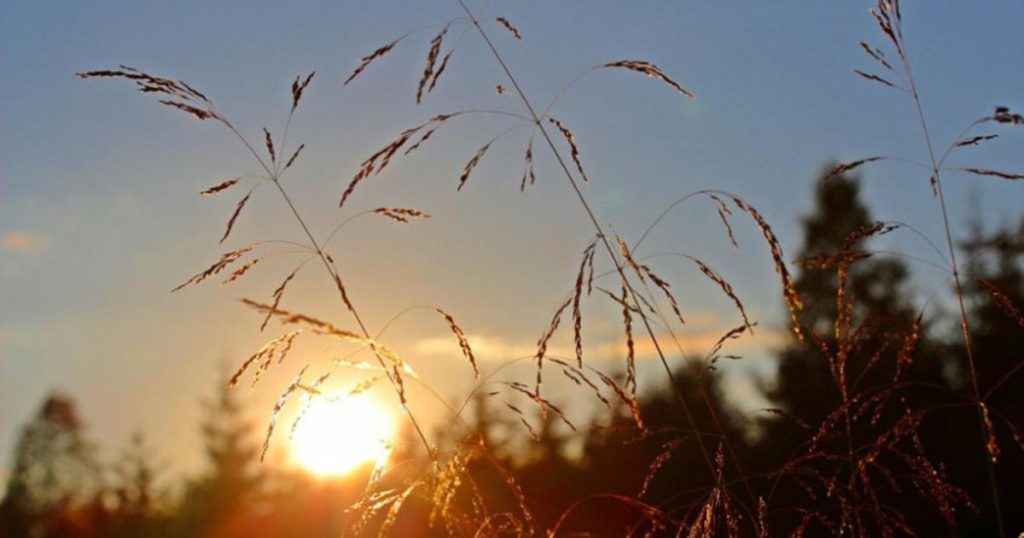 Sutra sunčano, dnevna temperatura od 19 do 25, na jugu do 28 stupnjeva