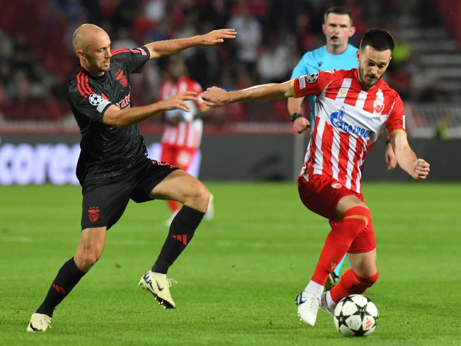 Zvezda na svom terenu poražena od Benfice | Crvena zvezda Vijesti