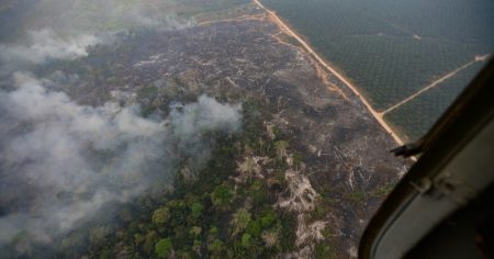 Požari u Peruu izmiču kontroli | Amazonija Vijesti