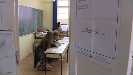 CIK odbio stotine kandidata za biračke odbore, ali za neke teško utvrđuje povezanost sa strankama