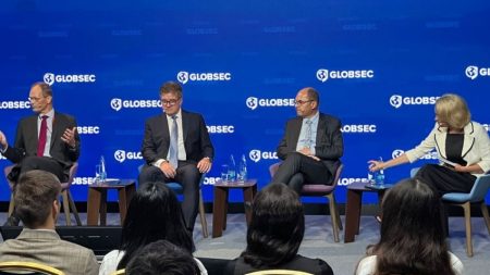 Schmidt u Pragu o evropskom putu BiH: Ovakav tempo neće dati želje rezultate | Bosna i Hercegovina Vijesti