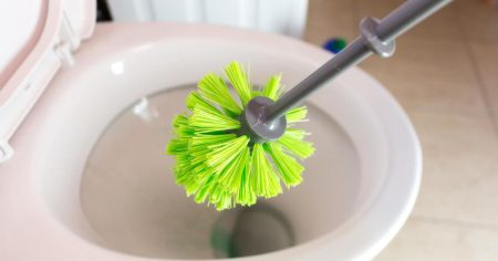 Stručnjaci otkrili jednostavan trik kako ukloniti kamenac iz WC školjke