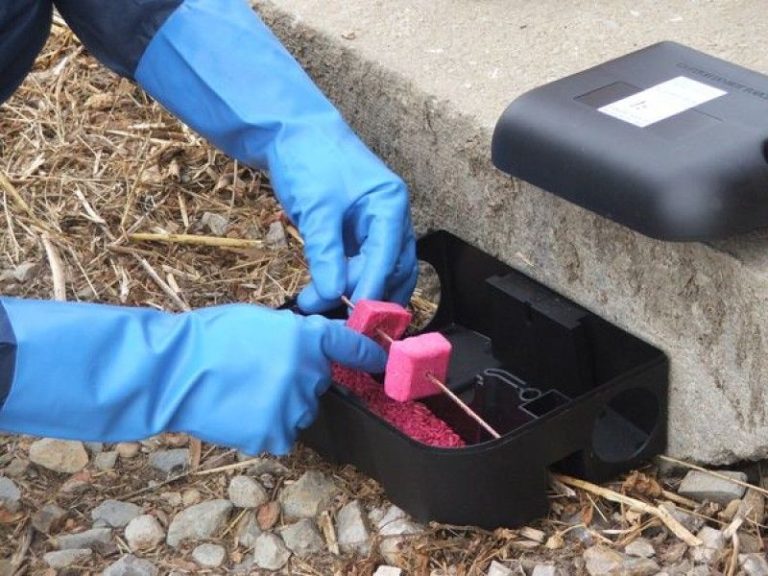 Jesenje suzbijanje štetočina počinje 1. oktobra Jesenje suzbijanje štetočina počinje 1. oktobra