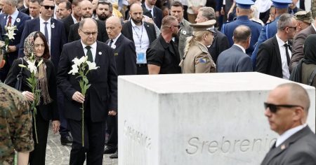 Da li je došlo vrijeme da Schmidt ispuni staro obećanje i pozabavi se nastavom historije u školama