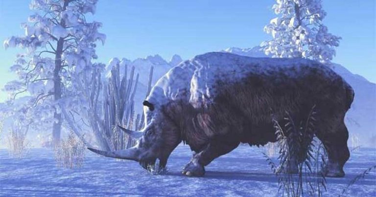 U Rusiji pronađen netaknut vunasti nosorog star 32.400 godina U Rusiji pronađen netaknut vunasti nosorog star 32.400 godina