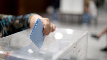 Lokalni izbori u Srbiji: Incidenti u Mionici, posmatračima ozbiljno ugrožena bezbednost, kažu iz Crte