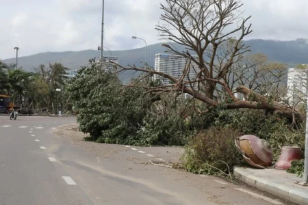 U velikim kišama i klizištima u Vijetnamu poginule najmanje 43 osobe