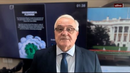 Puljić: Otkrivanje spomenika u New Yorku je direktna primjena Rezolucije o genocidu u Srebrenici