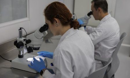 JEDNA OD NAJRJEĐIH: Tek 50 ljudi na svijetu ima ovu krvnu grupu, naučnici je sada pokušavaju stvoriti u laboratoriji