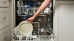 (VIDEO) Stavio je kameru u mašinu za suđe, ljudi šokirani prizorom – To nije normalno