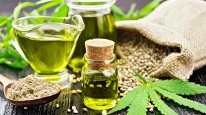 Vijeće ministara odlučuje o medicinskom kanabisu, Magazinović traži punu transparentnost