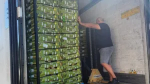 Prisjelo merakliji: Vozaču iz Hrvatske prijeti zatvor zbog 40 litara rakije