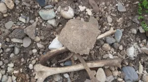 Zvjerstva ruskih plaćenika u Maliju: Potresna svjedočenja preživjelih