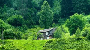 Nastavlja se velika potraga za nestalom 73-godišnjom Fatimom Džajić: Uključio se i FUCZ