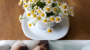 Jesenja briga o zelenilu: Lišće nije otpad, nego hrana za budući vrt