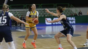 Republika Irska ubjedljivo savladala Bosnu i Hercegovinu i slavila historijsku pobjedu