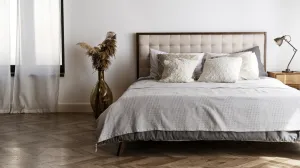 Ne držite ništa u ovom uglu kuće sem ovog cvijeta: Privlači bogatstvo u vaš dom