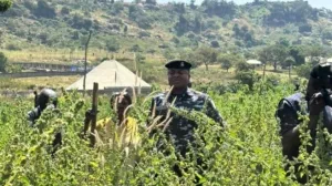 U Nigeriji zbog vala otmica vanredno stanje: Naređeno regrutiranje vojnika i policajaca