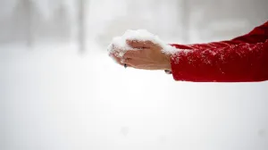 Ako imate neke od ovih pet simptoma – kortizol vam je previsok: Treći svi zanemaruju