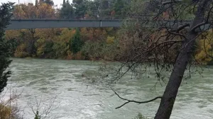 Predsjednik Crne Gore odlučio: Mladić koji je spasio ženu od utapanja će dobiti Medalju za hrabrost