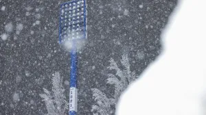 Željezničar se oglasio saopštenjem prema Savezu: Zašto nije donesena odluka da se igra danas?