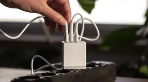 Ovu biljku svi trebate imati: Pročišćava zrak za samo 6 sati, a neutrališe i duhanski dim