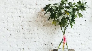 Kad vidite rezultat, šokirat ćete se: Ovaj trik u rerni će promijeniti vaš način pečenja