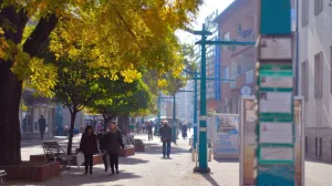 Gradovi žele više od mrvica: Kocka je pala i u Velikoj Kladuši