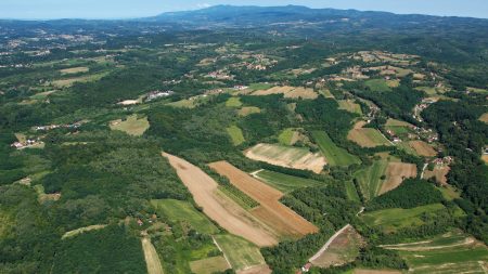 Dronovi i fizičko nasilje: Još jedan svjedok u Moldaviji priznao učešće u ruskom kampu u BiH